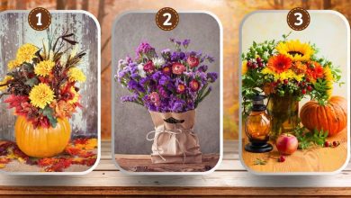 Autumn Flowers Personality Test