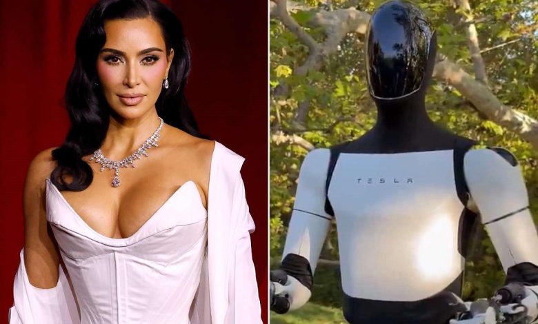 Kim Kardashian Robot