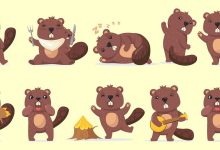 Visual Test Of Beavers