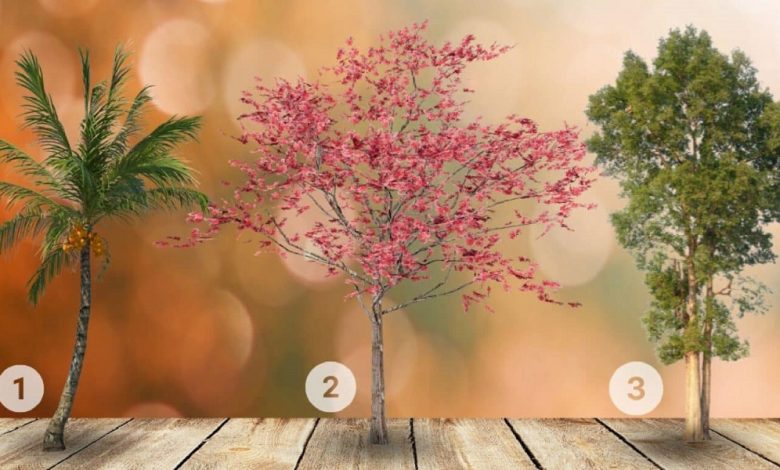 3 Trees Personality Test