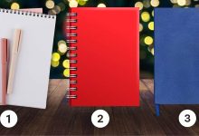 Notebook Draws Personality Test