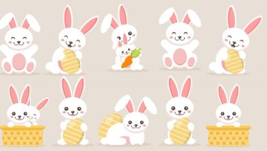 Rabbits Visual Test