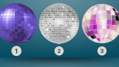 Disco Globe