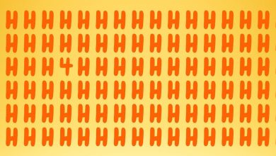 Hidden Among The H Letters