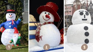 Discover Your Dominant Trait