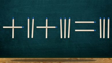 Correct This Equation