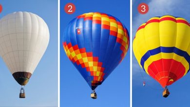 Hot Air Balloon