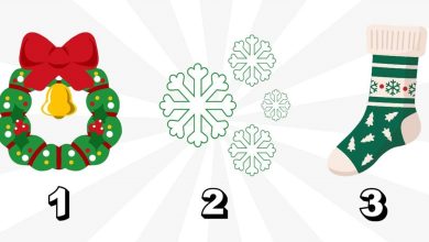 Choose From 3 Images