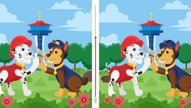 Spot The Three Differences