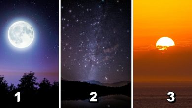 Which Sky Represents You