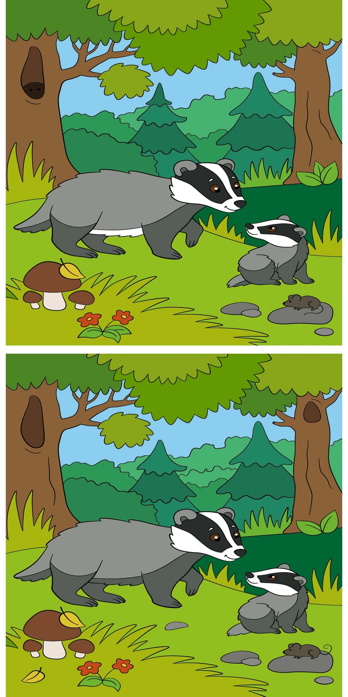 Spot 12 Differences