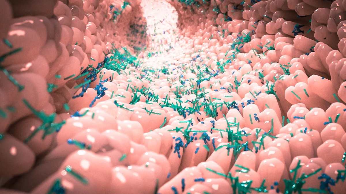Harmful Gut Bacteria