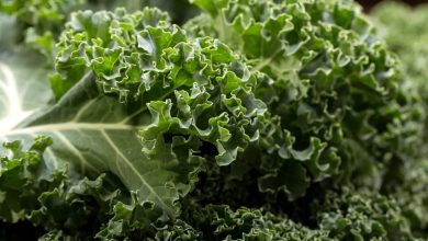 Health Benefits Of Kale