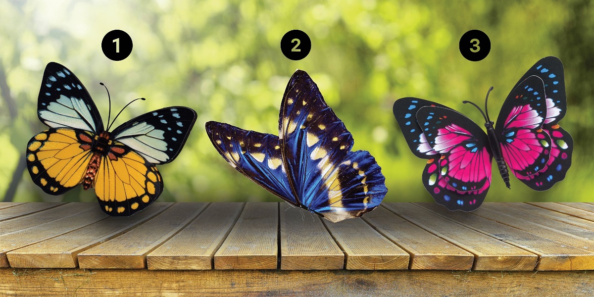 Butterfly Attracts You The Most