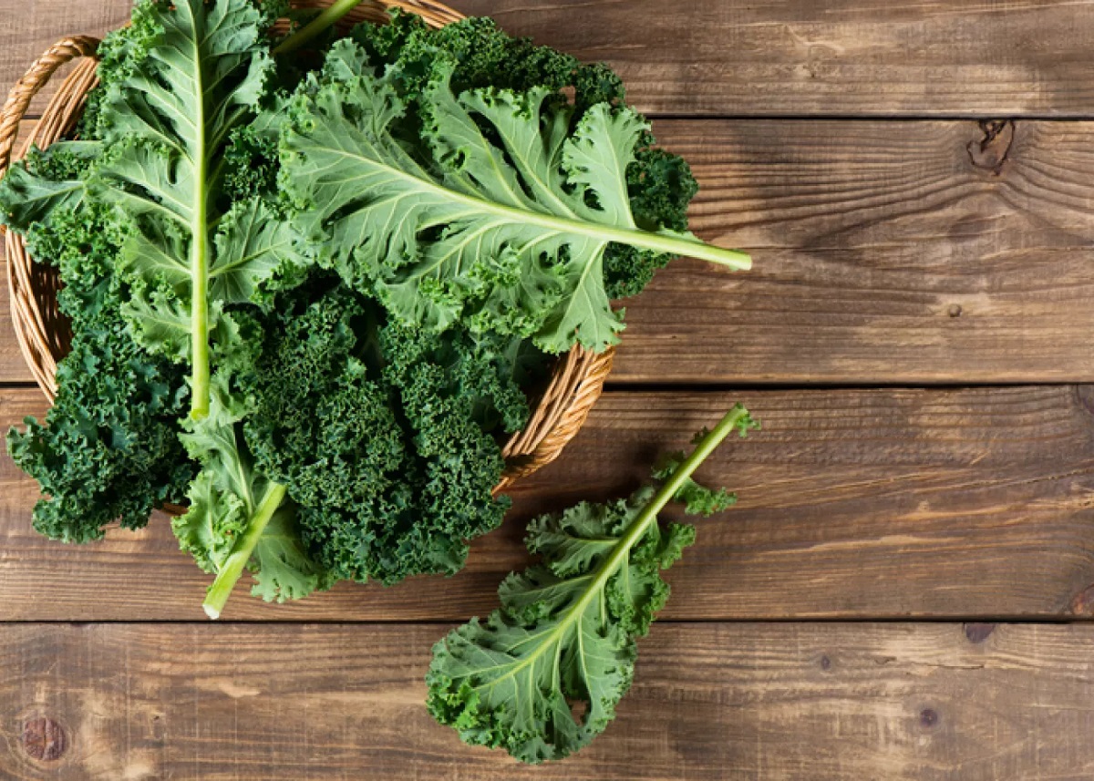 Health Benefits Of Kale