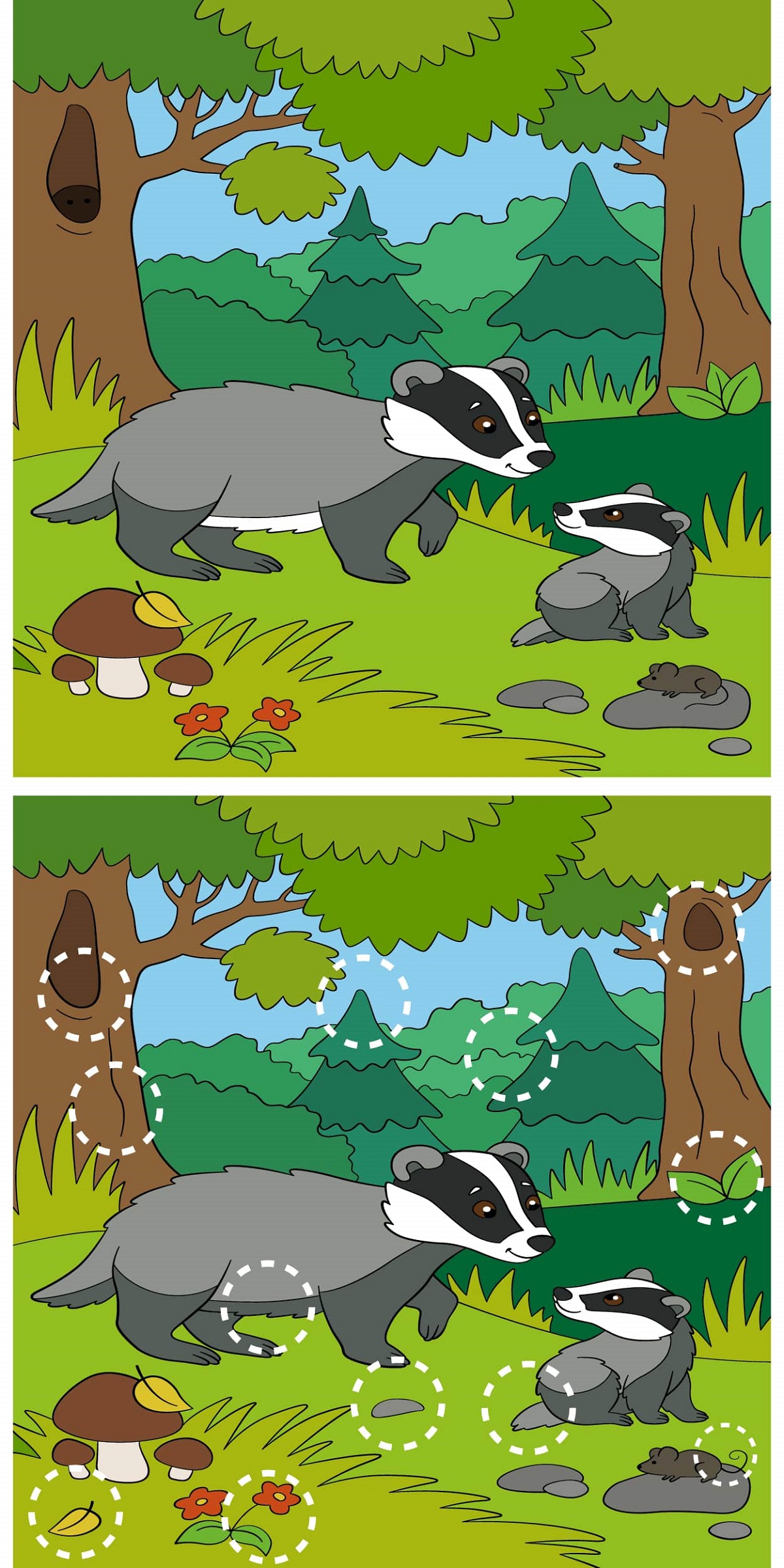 Spot 12 Differences
