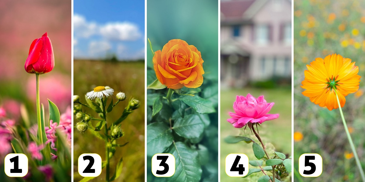 Choosing A Flower Image