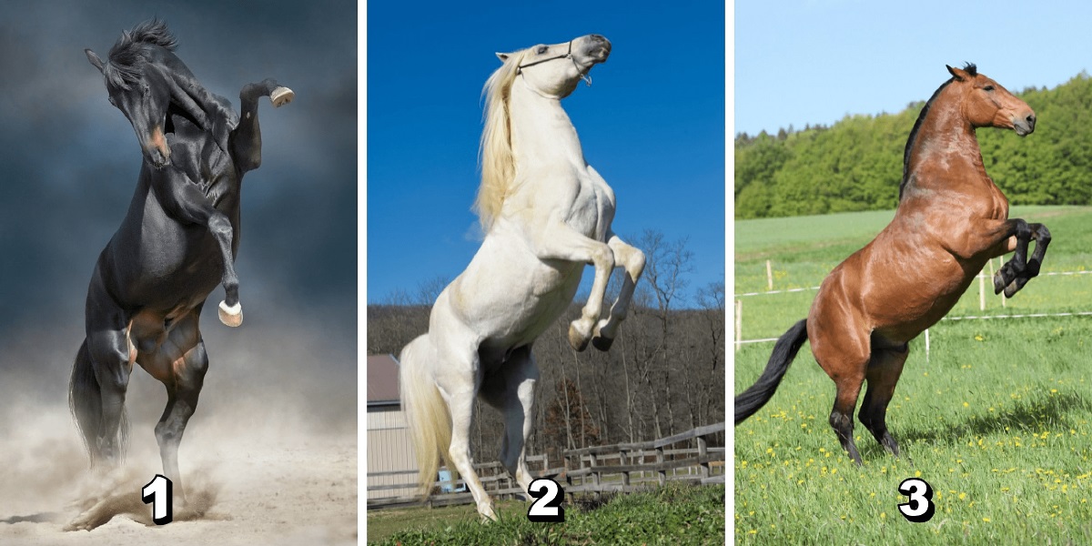 Reveal Your Priceless Virtue