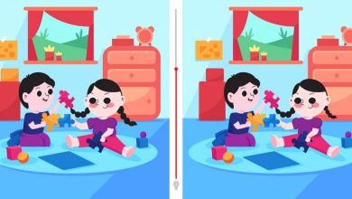 Spot The Three Differences