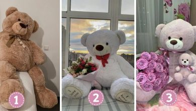 Teddy Bear
