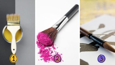 Choose One Of The 3 Brushes