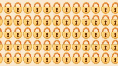 Find The Intruder Lock