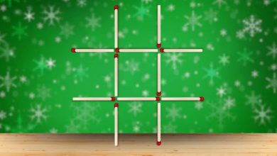 Move 3 Matchsticks