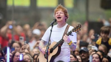 Ed Sheeran Halted