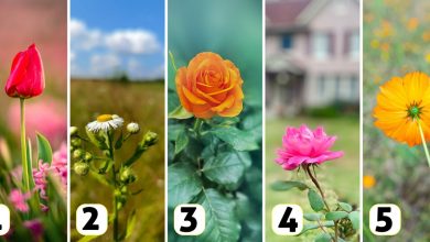 Choosing A Flower Image