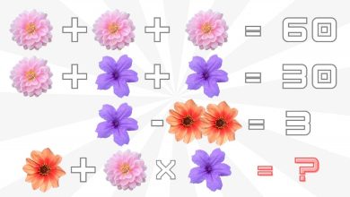 Solving These Equations