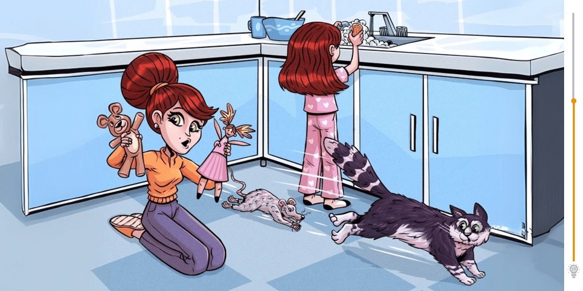 observation challenge