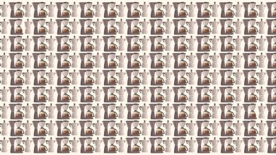 Find The Two Coffee Pots