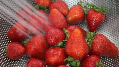Fresh Strawberries
