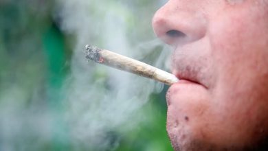 Cannabis Consumption