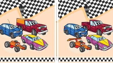 Two Car Illustrations