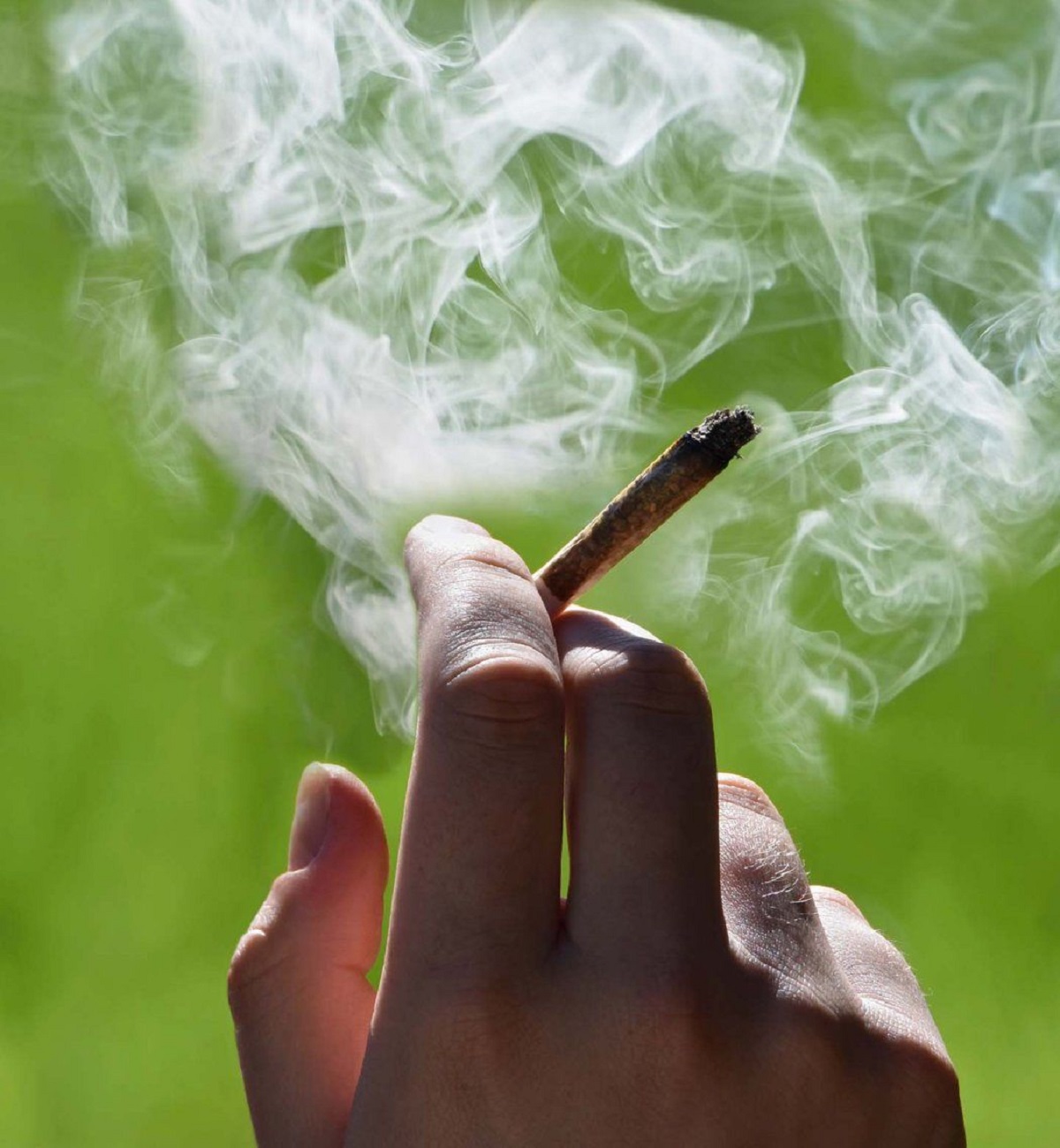 Cannabis Consumption