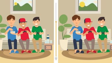 Find The 5 Differences