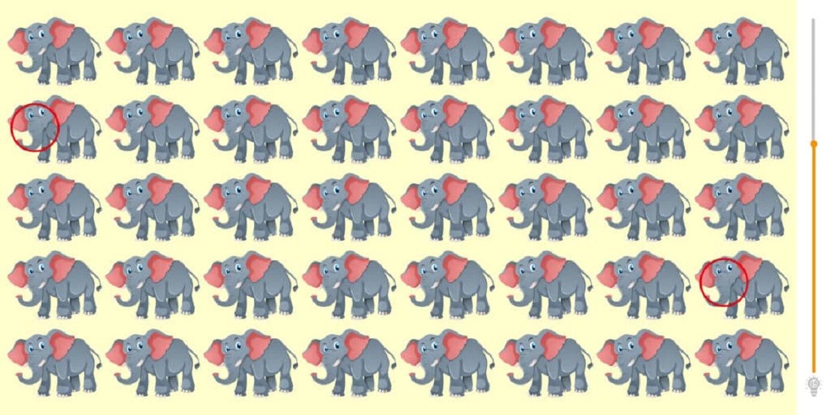 Spot The Two Elephants