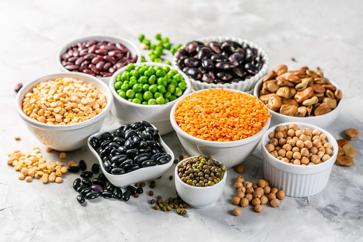 Plant-based Protein