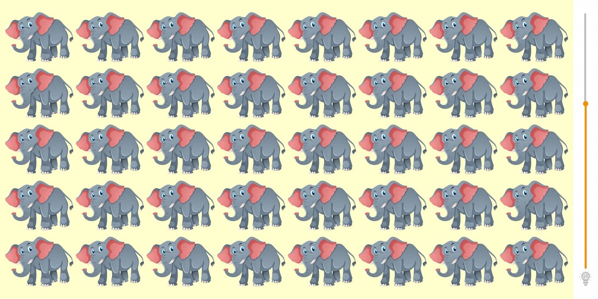 Spot The Two Elephants