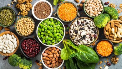 Plant-based Protein