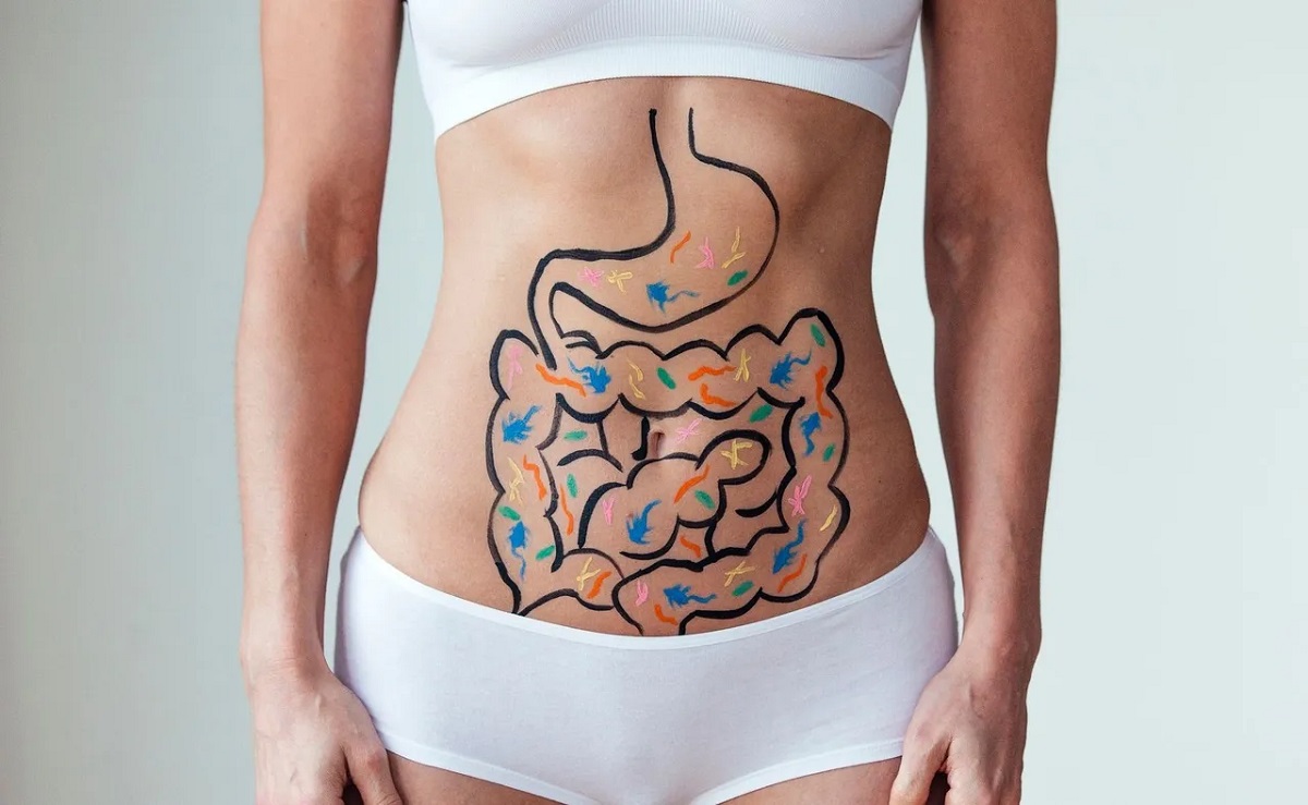 Gut Bacteria