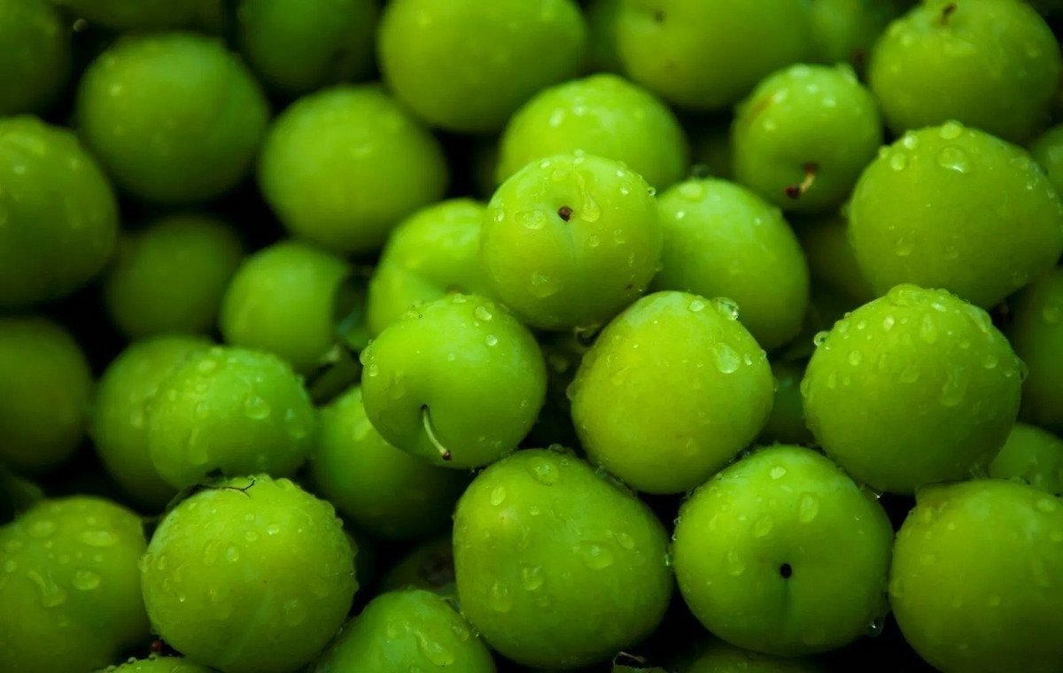 Greengage Plum Benefits