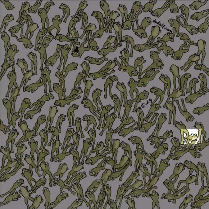 Find the Different Frog Challenge