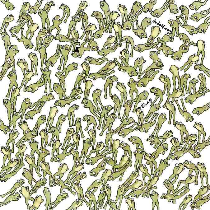 Find the Different Frog Challenge