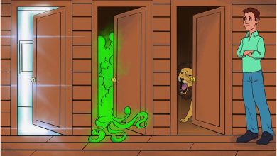 IQ Test with identify the Safe Door