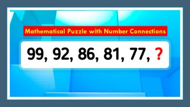 Mathematical Puzzle with Number Connections