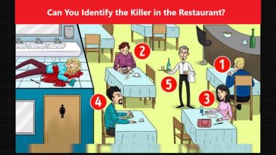 Visual IQ Test Identify the Killer
