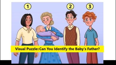 visual puzzle with Identify the Baby’s Father