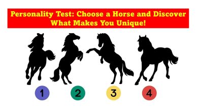 Horse Shadow Personality Test